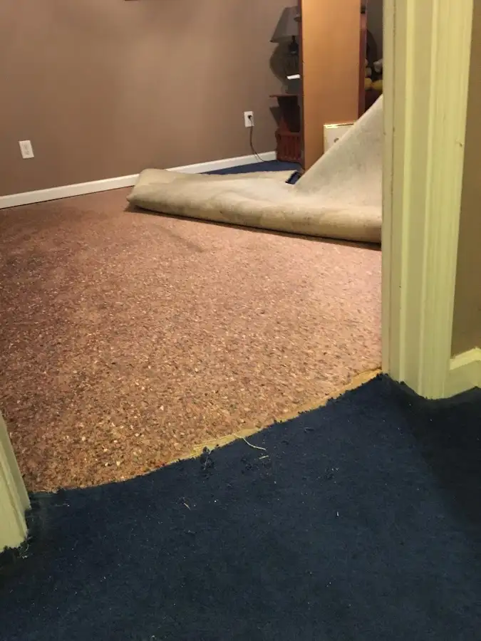 Carpet pad removal revealing water damage during Water Mitigation Services in Delano