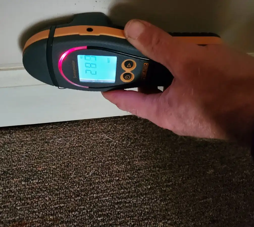 Moisture detection at baseboard during Mold Inspection & Testing in Delano