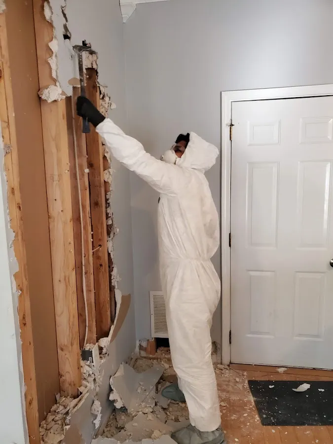 Water Damage Restoration services in Delano, MN